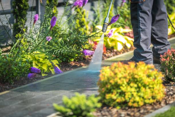 Best Patio and Deck Pressure Washing  in Turners Falls, MA